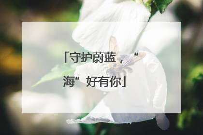 守护蔚蓝，“海”好有你