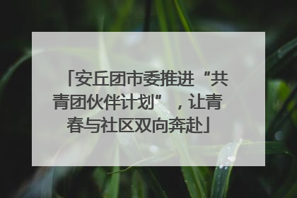 安丘团市委推进“共青团伙伴计划”，让青春与社区双向奔赴