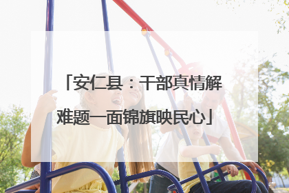 安仁县：干部真情解难题一面锦旗映民心