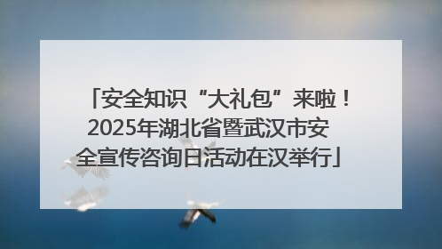 安全知识“大礼包”来啦！2025年湖北省暨武汉市安全宣传咨询日活动在汉举行