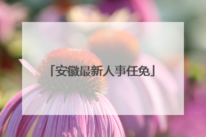 安徽最新人事任免