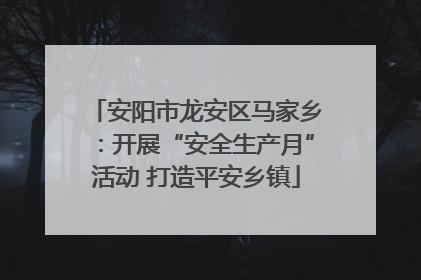 安阳市龙安区马家乡：开展“安全生产月”活动 打造平安乡镇