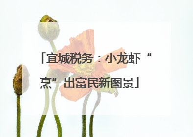 宜城税务：小龙虾“烹”出富民新图景