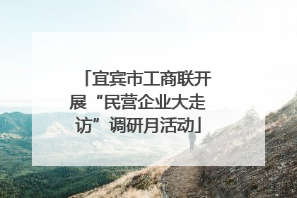 宜宾市工商联开展“民营企业大走访”调研月活动