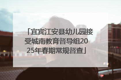 宜宾江安县幼儿园接受城南教育督导组2025年春期常规督查