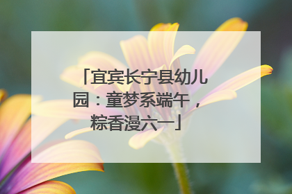 宜宾长宁县幼儿园：童梦系端午，粽香漫六一