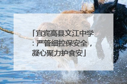 宜宾高县文江中学：严管细控保安全，凝心聚力护食安