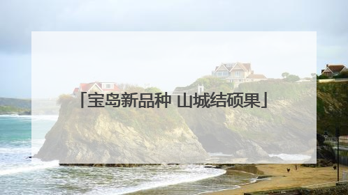 宝岛新品种 山城结硕果