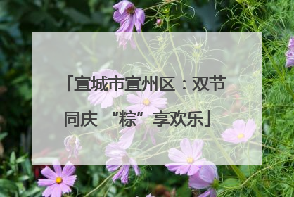 宣城市宣州区：双节同庆 “粽”享欢乐