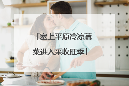 塞上平原冷凉蔬菜进入采收旺季