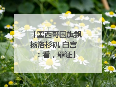 墨西哥国旗飘扬洛杉矶 白宫：看，罪证