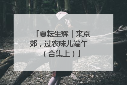 夏耘生辉｜来京郊，过农味儿端午（合集上）