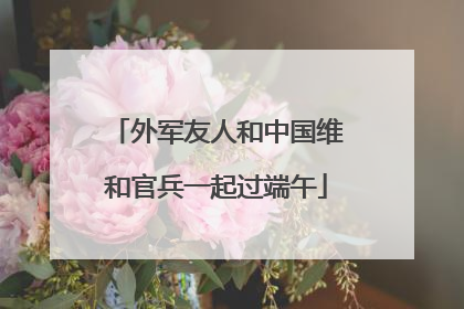外军友人和中国维和官兵一起过端午
