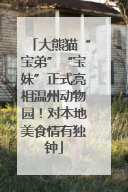 大熊猫“宝弟”“宝妹”正式亮相温州动物园！对本地美食情有独钟