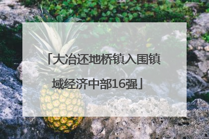 大冶还地桥镇入围镇域经济中部16强