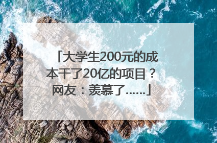 大学生200元的成本干了20亿的项目？网友：羡慕了……