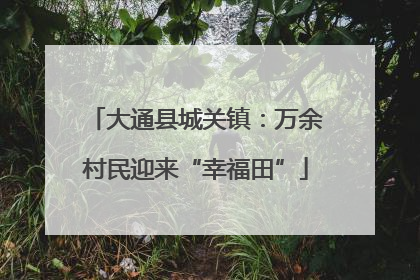 大通县城关镇：万余村民迎来“幸福田”
