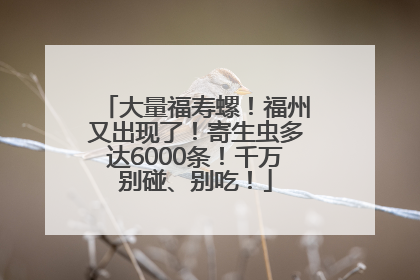 大量福寿螺！福州又出现了！寄生虫多达6000条！千万别碰、别吃！
