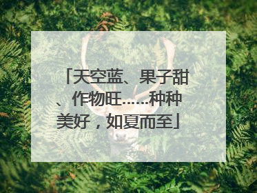 天空蓝、果子甜、作物旺……种种美好，如夏而至