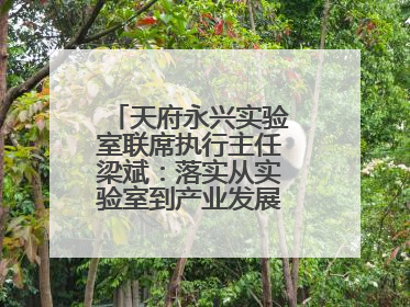 天府永兴实验室联席执行主任梁斌：落实从实验室到产业发展的最后一公里