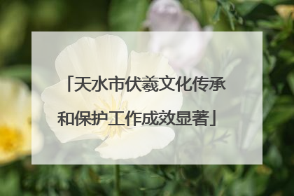 天水市伏羲文化传承和保护工作成效显著