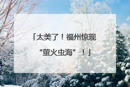太美了！福州惊现“萤火虫海”！