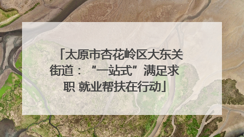 太原市杏花岭区大东关街道：“一站式”满足求职 就业帮扶在行动