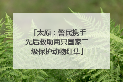 太原：警民携手 先后救助两只国家二级保护动物红隼