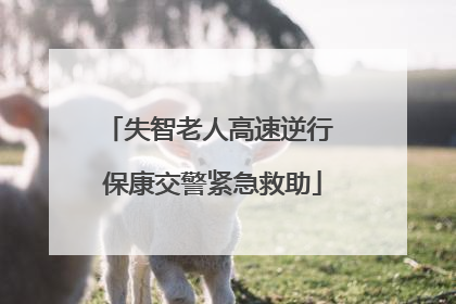 失智老人高速逆行 保康交警紧急救助