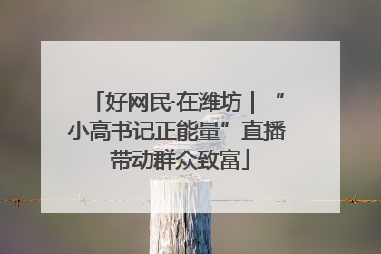 好网民·在潍坊｜“小高书记正能量”直播 带动群众致富