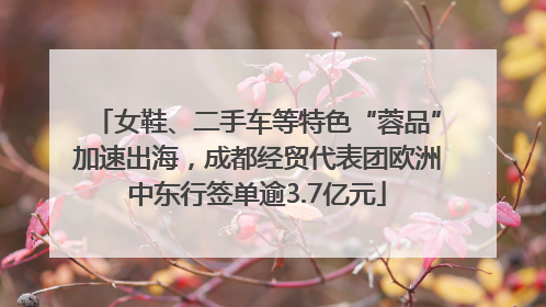 女鞋、二手车等特色“蓉品”加速出海，成都经贸代表团欧洲中东行签单逾3.7亿元