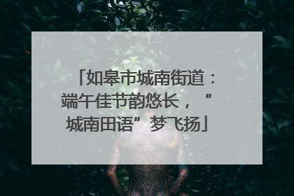 如皋市城南街道：端午佳节韵悠长，“城南田语”梦飞扬