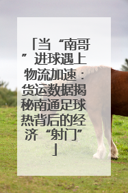 当“南哥”进球遇上物流加速:货运数据揭秘南通足球热背后的经济“射门”