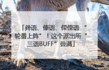 彝语、傣语、傈僳语 “轮番上阵”！这个派出所“三语BUFF”叠满