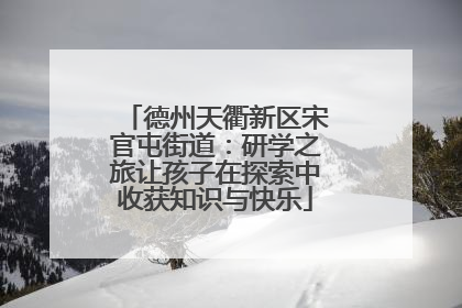 德州天衢新区宋官屯街道：研学之旅让孩子在探索中收获知识与快乐
