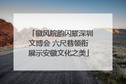徽风皖韵闪耀深圳文博会 六尺巷领衔展示安徽文化之美