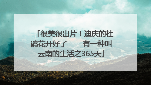 很美很出片！迪庆的杜鹃花开好了——有一种叫云南的生活之365天