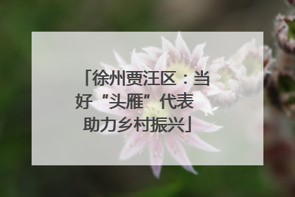 徐州贾汪区：当好“头雁”代表 助力乡村振兴