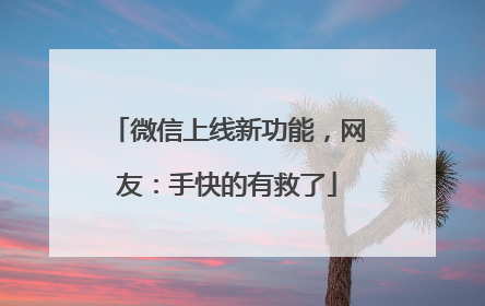 微信上线新功能，网友：手快的有救了
