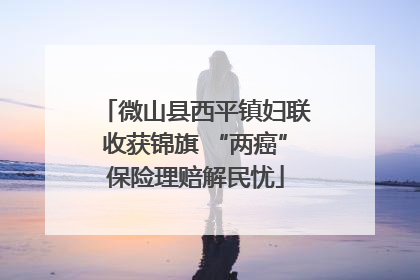 微山县西平镇妇联收获锦旗 “两癌”保险理赔解民忧