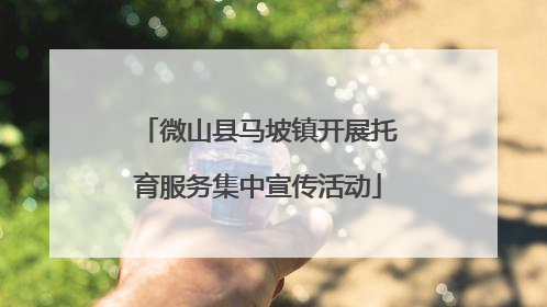 微山县马坡镇开展托育服务集中宣传活动