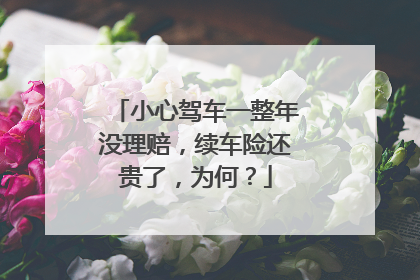 小心驾车一整年没理赔，续车险还贵了，为何？