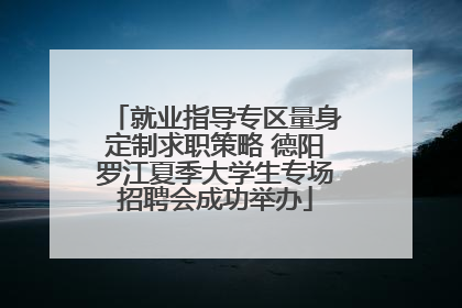 就业指导专区量身定制求职策略 德阳罗江夏季大学生专场招聘会成功举办