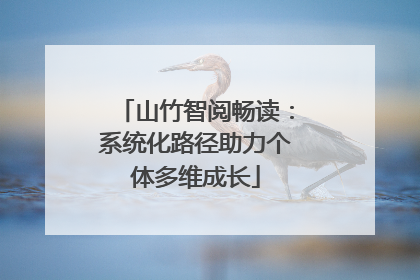 山竹智阅畅读：系统化路径助力个体多维成长