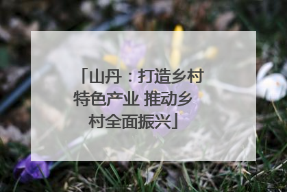 山丹：打造乡村特色产业 推动乡村全面振兴