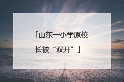 山东一小学原校长被“双开”