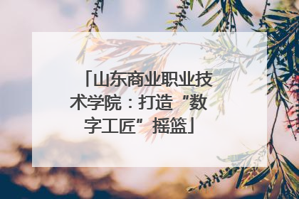 山东商业职业技术学院：打造“数字工匠”摇篮