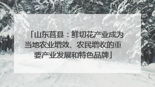 山东莒县：鲜切花产业成为当地农业增效、农民增收的重要产业发展和特色品牌