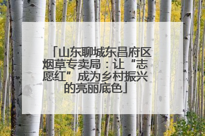 山东聊城东昌府区烟草专卖局：让“志愿红”成为乡村振兴的亮丽底色