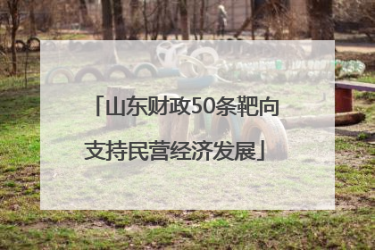 山东财政50条靶向支持民营经济发展